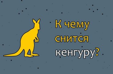 К чему снится кенгуру женщине